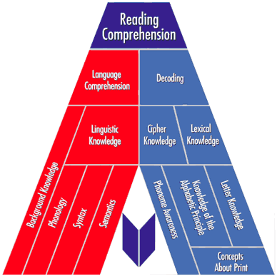 Lexicon Reading Framework